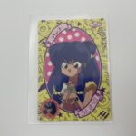 らんま1/2 カードダス「シャンプー」を東京都中野区で出張買取